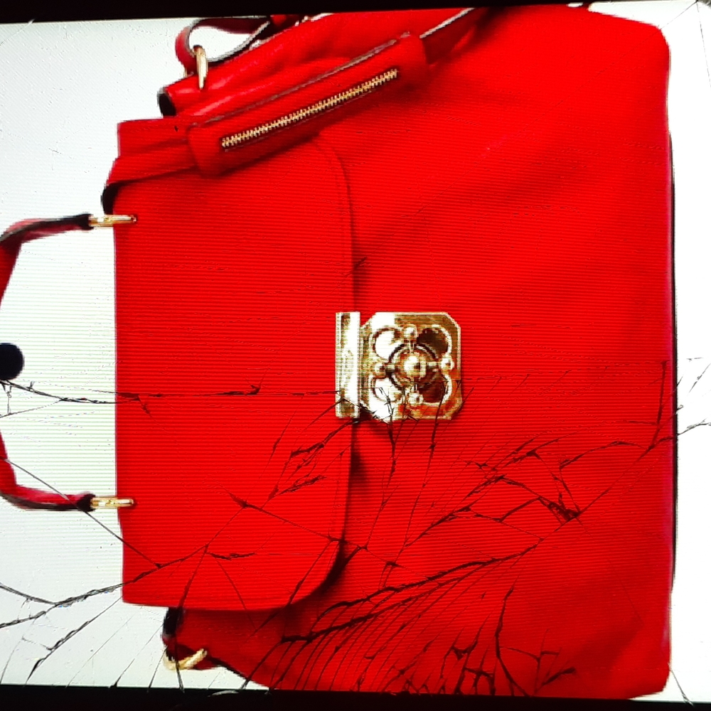 Chloe Elsie Handbag